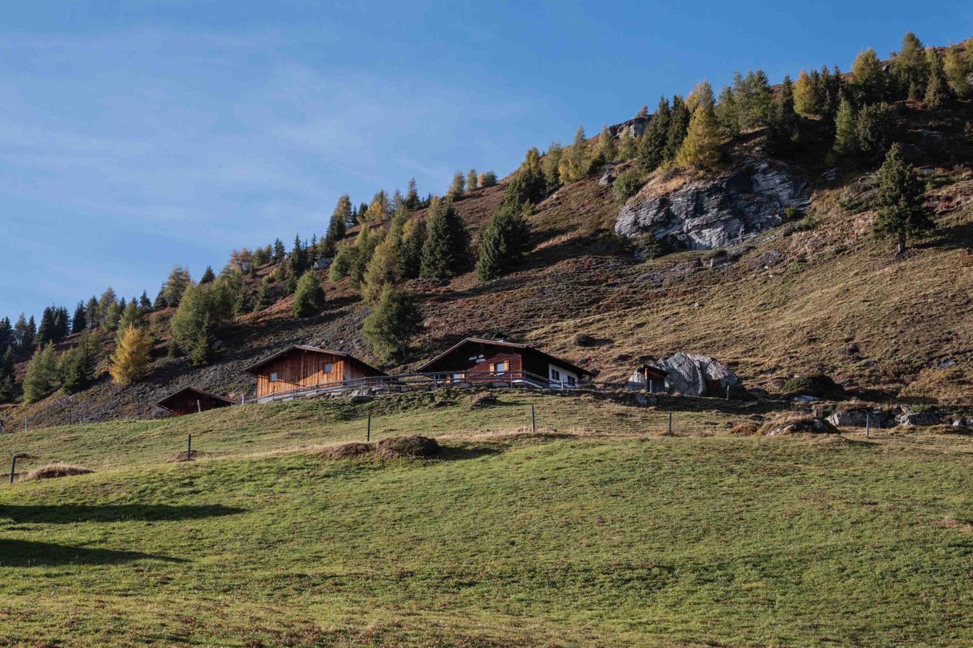 Feiserhof Navis - Appartements Zewnętrze zdjęcie